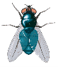 C:\Users\User\Desktop\Підготовка уроків\Укр. мова\mukha_mini.png